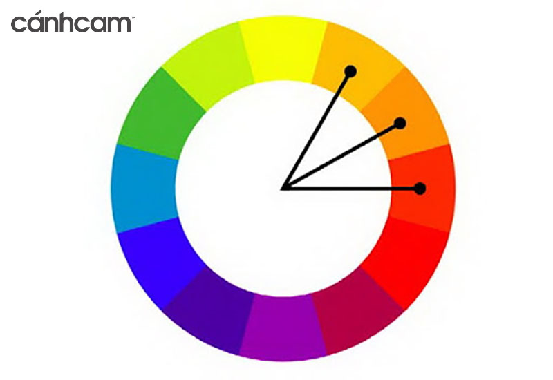 Nguyên tắc phối màu tương đồng trong thiết kế website